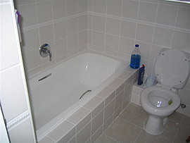 Harbour Island rentals
